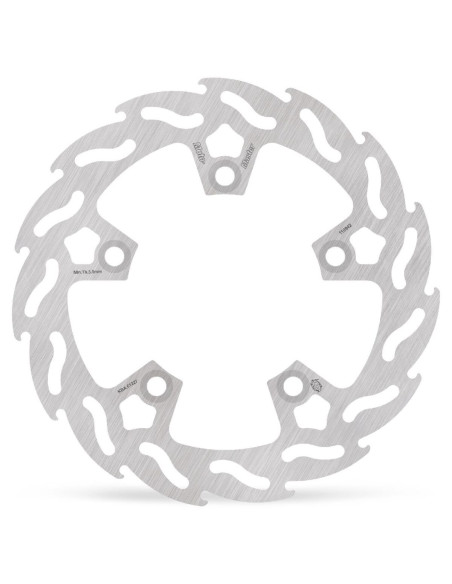 BRAKE DISC FLAME REAR