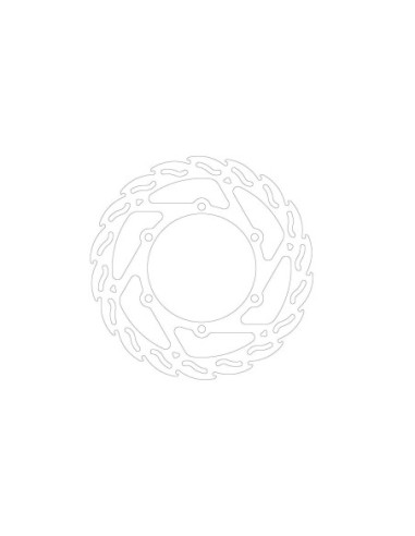 BRAKE DISC FLAME FRONT