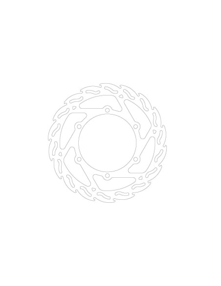 BRAKE DISC FLAME FRONT