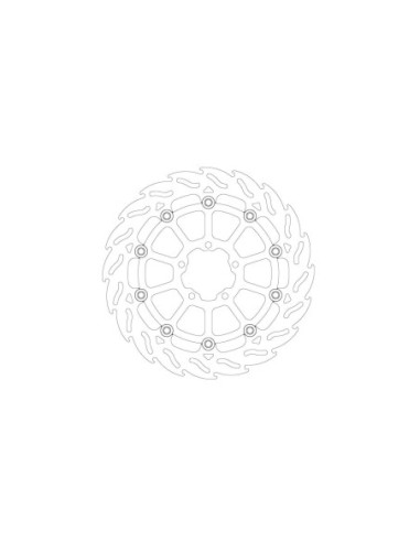 BRAKE DISC FLAME FRONT