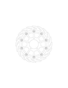 BRAKE DISC FLAME FRONT