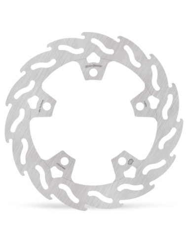 BRAKE DISC FLAME REAR