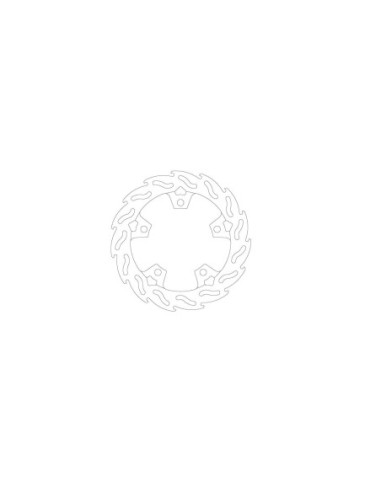 BRAKE DISC FLAME REAR