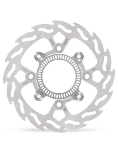 BRAKE DISC FLAME REAR