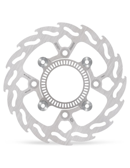 BRAKE DISC FLAME REAR
