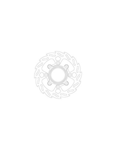 BRAKE DISC FLAME REAR