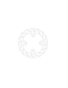 BRAKE DISC FLAME REAR