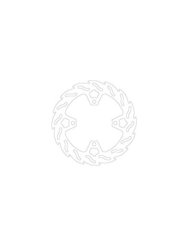 BRAKE DISC FLAME REAR