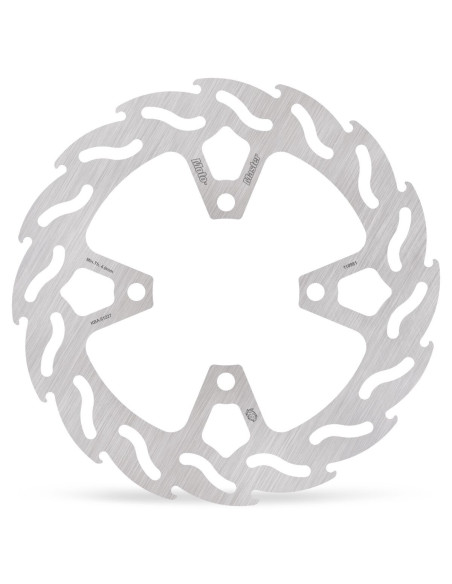 BRAKE DISC FLAME REAR