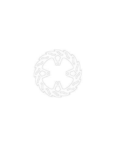 BRAKE DISC FLAME REAR