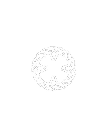 BRAKE DISC FLAME REAR