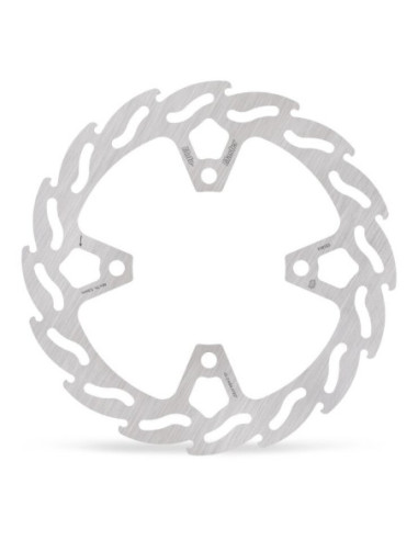 BRAKE DISC FLAME FIXED REAR TR