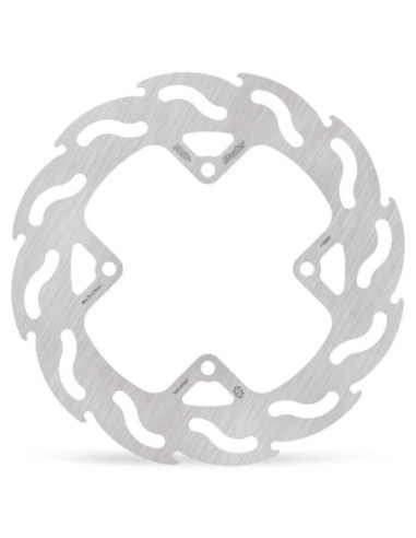 BRAKE DISC FLAME REAR