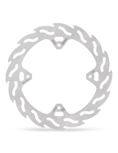 BRAKE DISC FLAME REAR