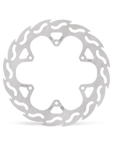 BRAKE DISC FLAME REAR