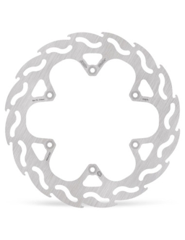 BRAKE DISC FLAME REAR