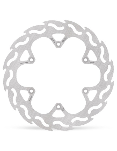 BRAKE DISC FLAME REAR