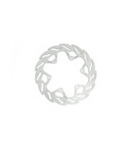 BRAKE DISC FLAME REAR