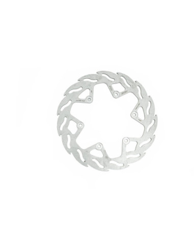 BRAKE DISC FLAME REAR
