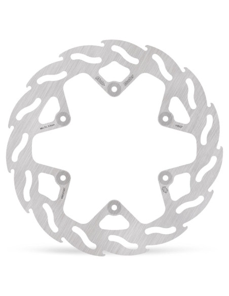 BRAKE DISC FLAME REAR
