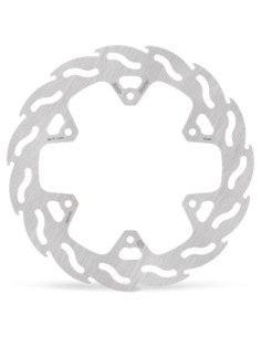 BRAKE DISC FLAME REAR
