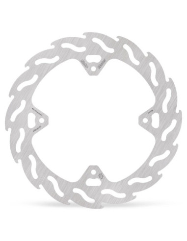 BRAKE DISC FLAME REAR