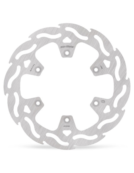 BRAKE DISC FLAME REAR