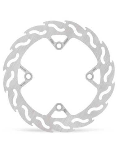 BRAKE DISC FLAME REAR