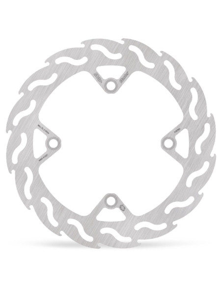 BRAKE DISC FLAME REAR