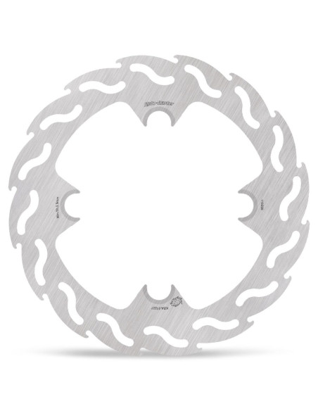BRAKE DISC FLAME REAR