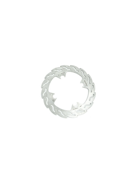 BRAKE DISC FLAME REAR