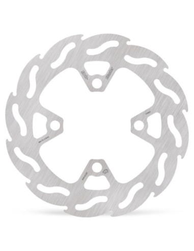 BRAKE DISC FLAME REAR