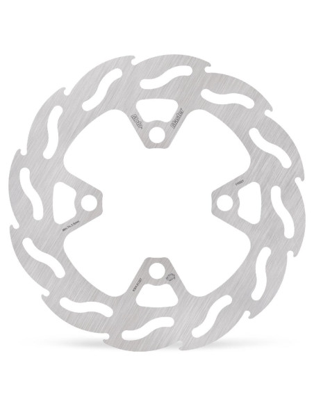 BRAKE DISC FLAME REAR