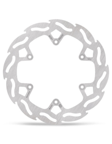 BRAKE DISC FLAME REAR