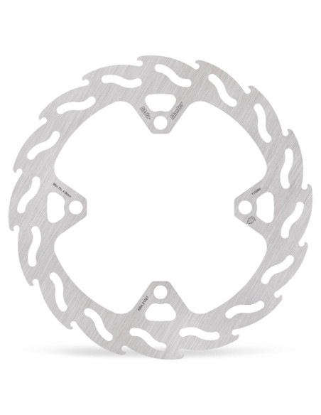 BRAKE DISC FLAME REAR