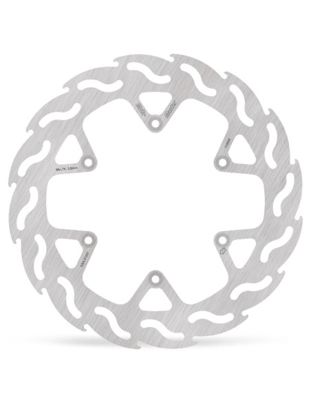 BRAKE DISC FLAME REAR