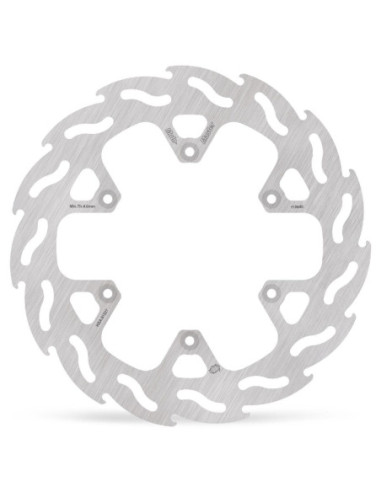 BRAKE DISC FLAME REAR