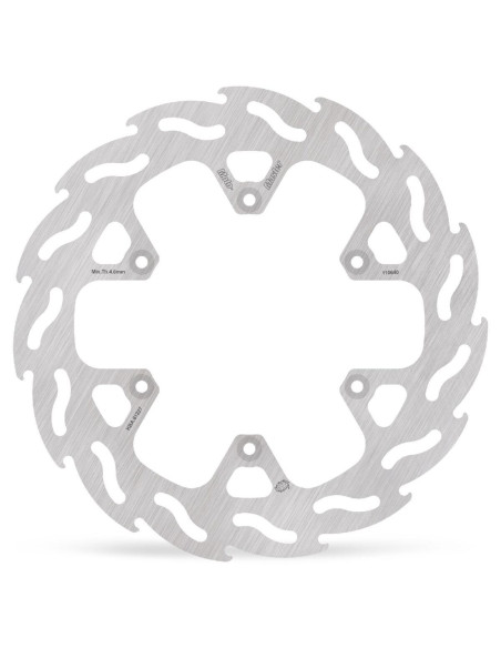 BRAKE DISC FLAME REAR
