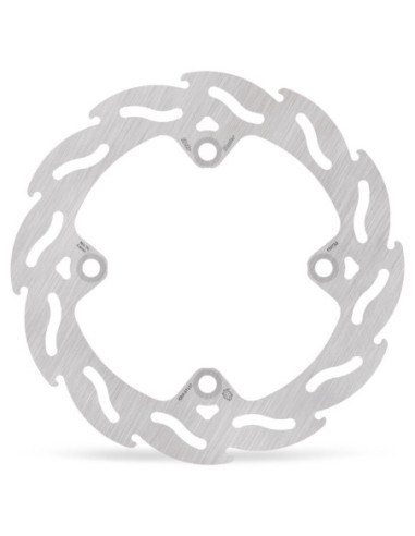 BRAKE DISC FLAME REAR