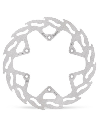 BRAKE DISC FLAME REAR