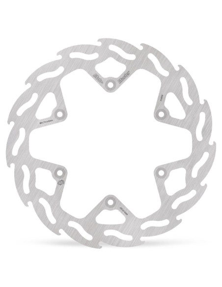 BRAKE DISC FLAME REAR