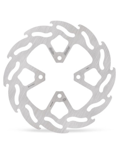 BRAKE DISC FLAME REAR